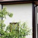 Фасадная панель Grand Line Сланец молочный купить в Знаменске